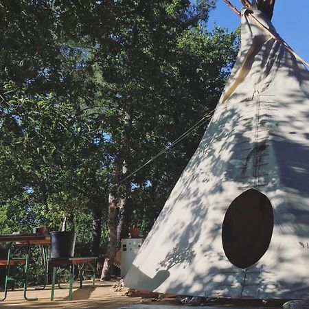 Tipi Lodge Dans La Foret Mimizan-Plage Eksteriør billede
