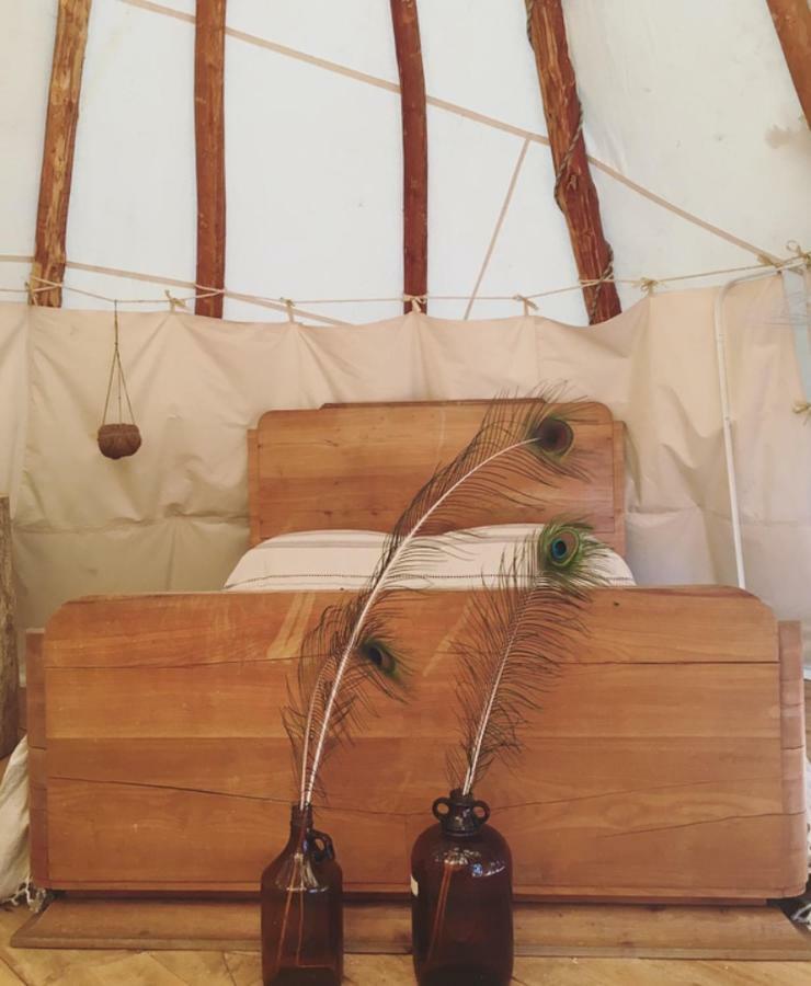 Tipi Lodge Dans La Foret Mimizan-Plage Eksteriør billede