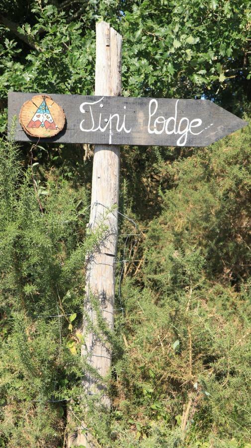 Tipi Lodge Dans La Foret Mimizan-Plage Eksteriør billede