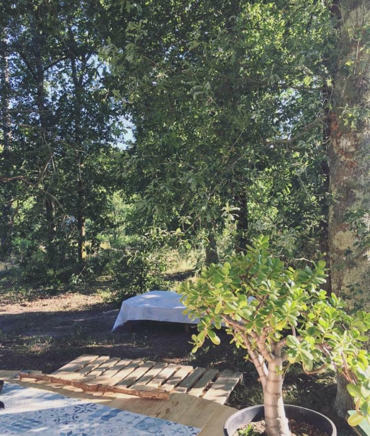 Tipi Lodge Dans La Foret Mimizan-Plage Eksteriør billede