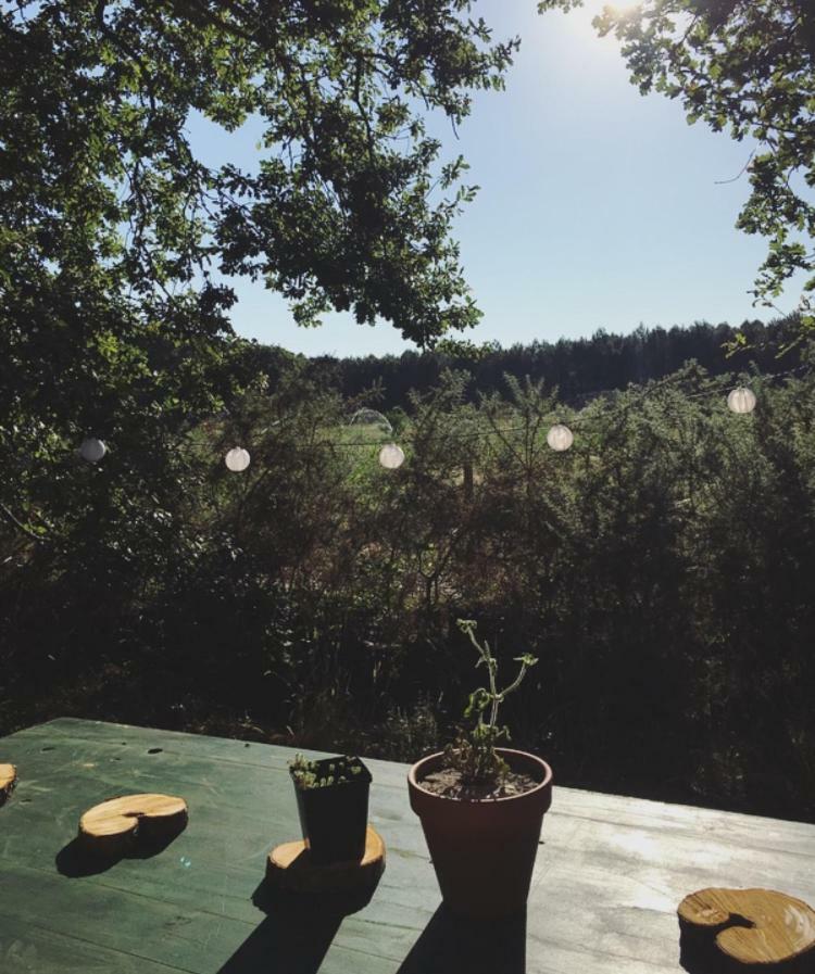 Tipi Lodge Dans La Foret Mimizan-Plage Eksteriør billede